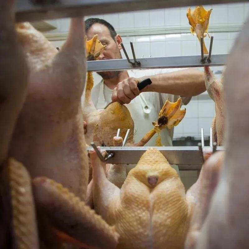 Canard gras à Belpech