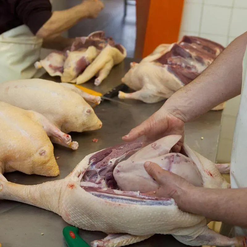 Producteur foie gras à Belpech